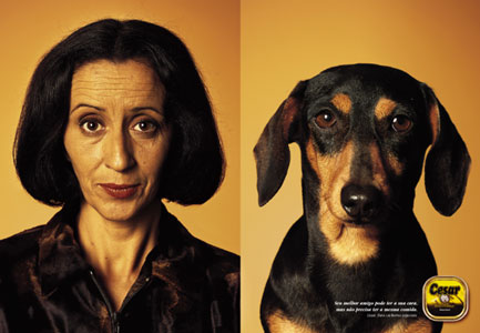 Dog Contest