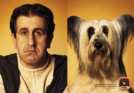 Dog contest