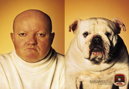 Dog contest